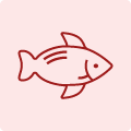 Fisch
