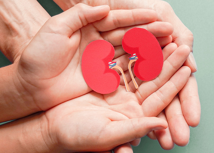 So erhalten Sie Ihre Nierengesundheit langfristig