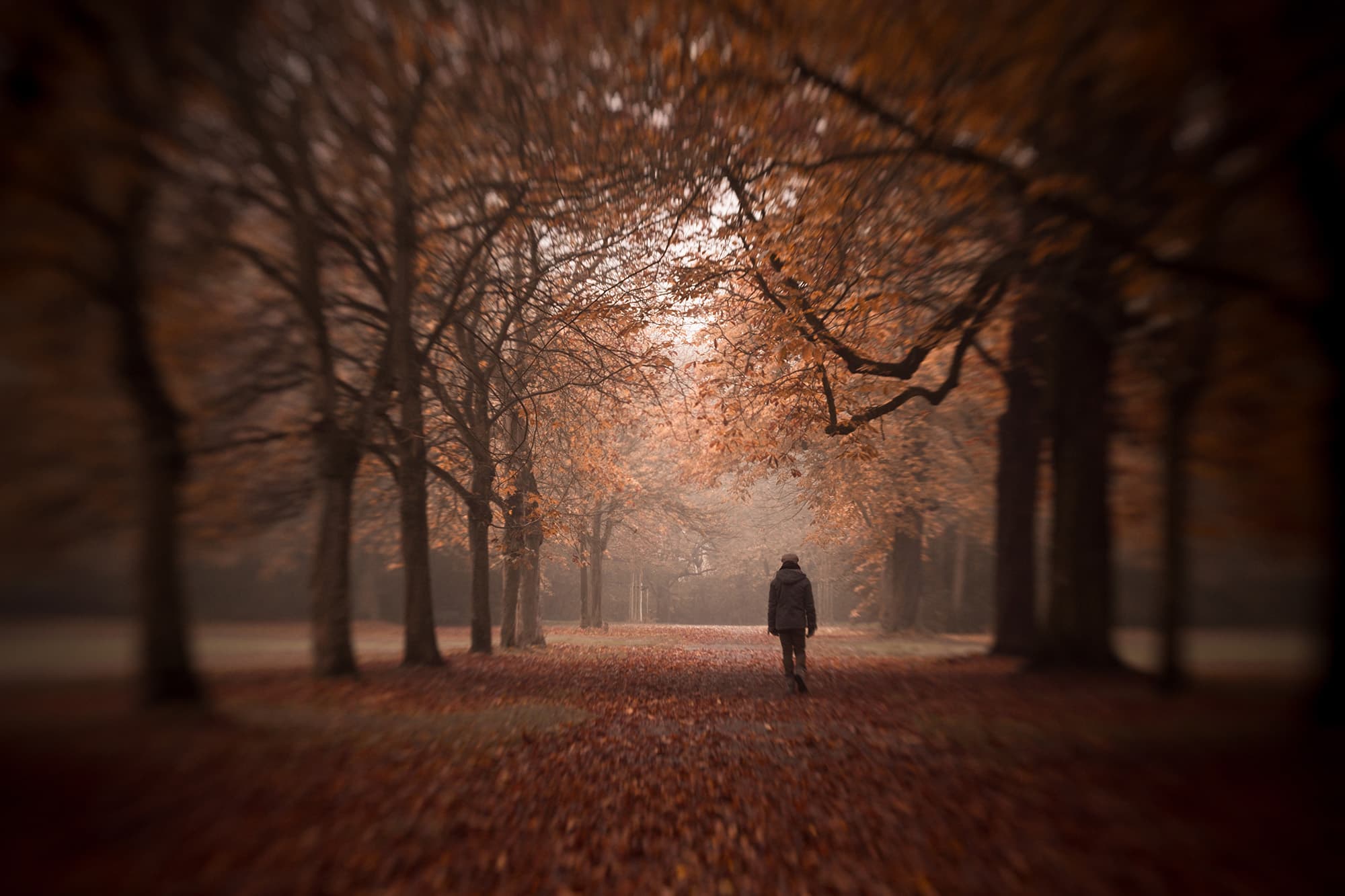 herbststimmung